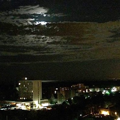 stenberjreflecting61514